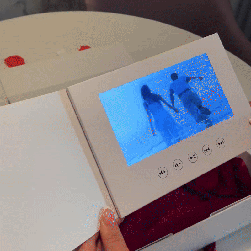 LUMAVO - MeriVault Video Book